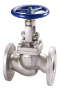 Globe Valves