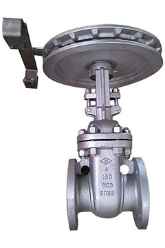 Stainles steel Gate valves