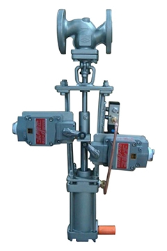 Stainles steel Globe valves