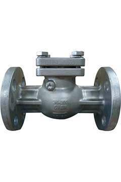 Swing check valves 300#