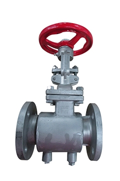 Semi jacket gate valves